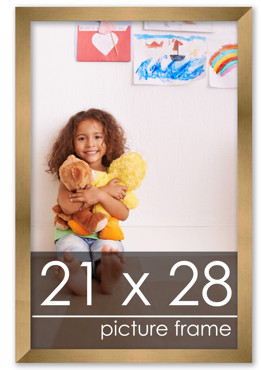 21x28 Solid Wood Picture Frame with UV-Resistant Acrylic & Acid-Free Backing, Available in 6 Finishes: Matte Black, Matte White, Metallic Bronze, Silver, Natural Wood Grain & Mahogany